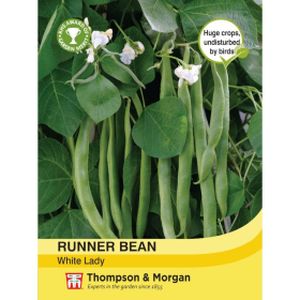 Thompson & Morgan Veg Runner Bean White Lady