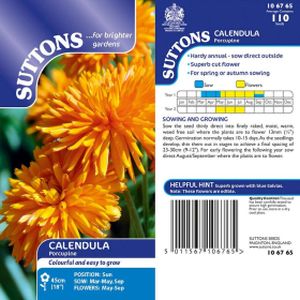 Suttons Calendula Porcupine
