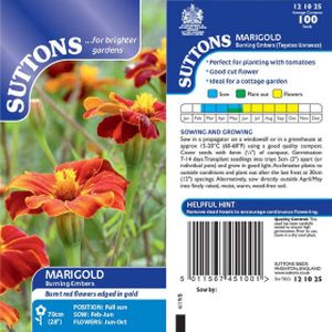 Suttons African Marigold Burning Embers Seeds