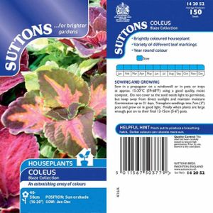 Suttons Houseplant Seeds - Coleus Blaze Coll