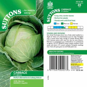 Suttons Cabbage  - Cabbice F1