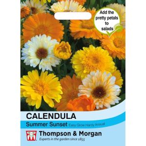 Thompson & Morgan Calendula Summer Sunset Seeds