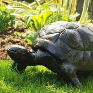 Home & Garden Small Tortoise
