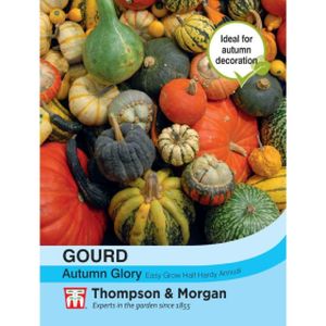 Thompson & Morgan Gourd Autumn Glory