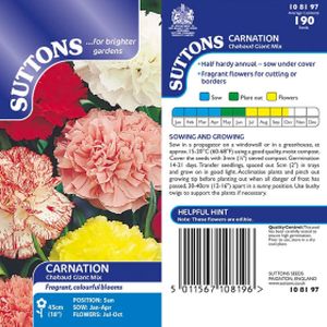 Suttons Carnation Chabaud Giant Mix