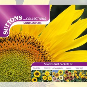 Suttons Sunflower Collection