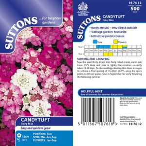 Suttons Candytuft Fairy Mix