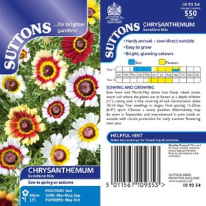 Suttons Chrysanthemum Sunshine Mix