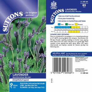 Suttons Herb Lavender Multifida Blue Wonder