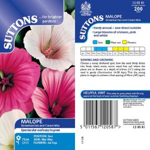 Suttons Malope Strawberries and Cream Mix