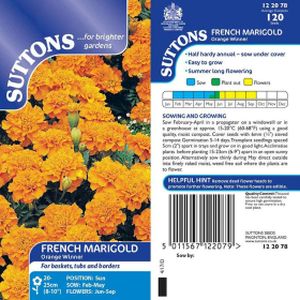 Suttons Marigold French Orange Winner