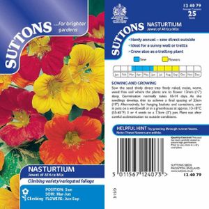 Suttons Nasturtium Jewel of Africa