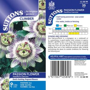 Suttons Passion Flower Passiflora Caerulea