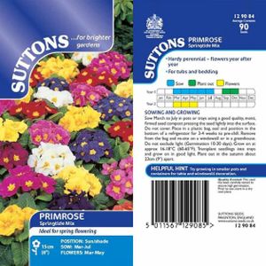 Suttons Primrose Springtide