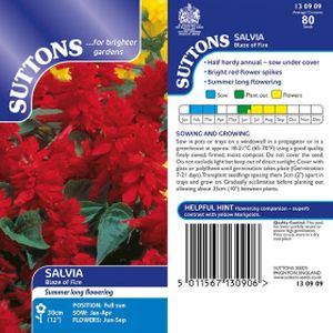 Suttons Salvia Blaze of Fire (Fireball)
