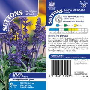 Suttons Salvia Farinacea Victoria