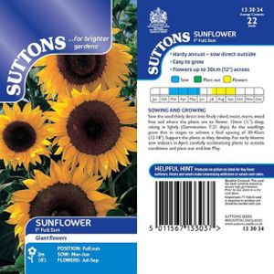Suttons Sunflower Full Sun F1 Seeds