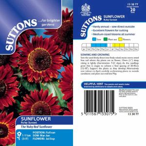 Suttons Sunflower Ruby Sunset