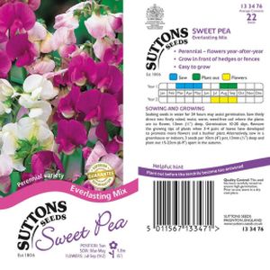 Suttons Sweet Pea Everlasting