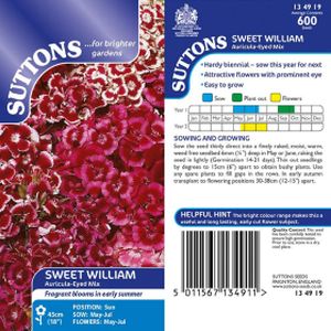 Suttons Sweet William Giant-Auricula-Eyed Mix