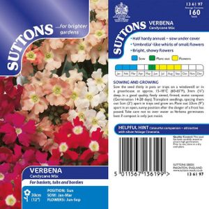 Suttons Verbena Candycane Mix
