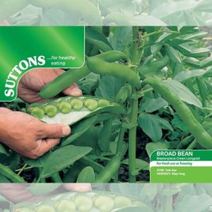 Suttons Veg Broad Bean Masterpiece Green Longpod