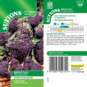 Suttons Veg Broccoli Purple Sprouting