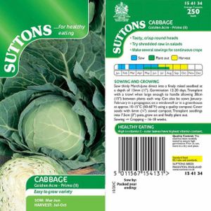 Suttons Veg Cabbage Golden Acre Primo (11)