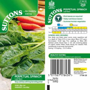 Suttons Veg Spinach Perpetual Leaf Beet