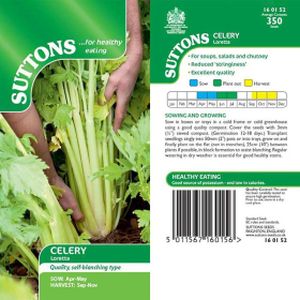 Suttons Veg Celery Loretta