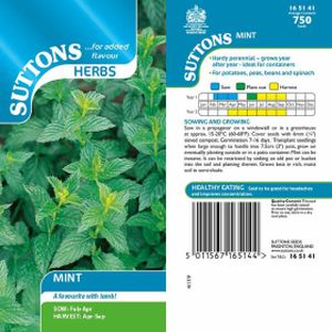 Suttons Herbs Mint