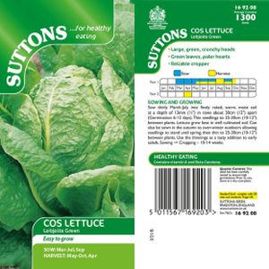 Suttons Veg Lettuce Lobjoits Green Cos