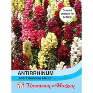 Thompson & Morgan Antirrhinum Dwarf Bedding Mixed