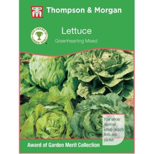 Thompson & Morgan Veg Lettuce Greenhearting Mixed