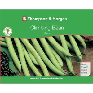Thompson & Morgan Veg Climbing Bean Cobra