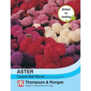 Thompson & Morgan Aster Carpet Ball Mixed Seeds