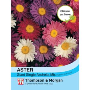 Thompson & Morgan Aster Giant Single Andrella Seeds