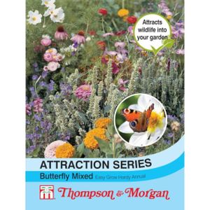 Thompson & Morgan Attraction Series Butterfly Mxd