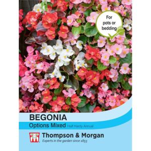 Thompson & Morgan Begonia semperflorens Options Mixed