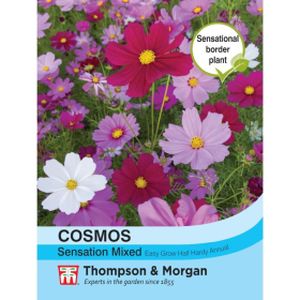 Thompson & Morgan Cosmos Sensation Mixed Seeds