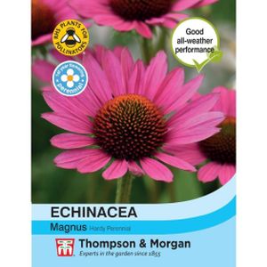 Thompson & Morgan Echinacea purpurea magnus