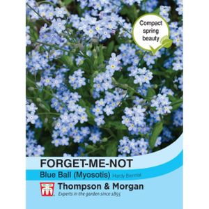 Thompson & Morgan Forget-me-not Blue Ball