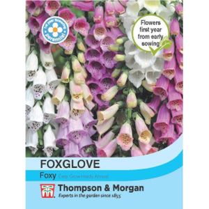 Thompson & Morgan Foxglove Foxy Seeds