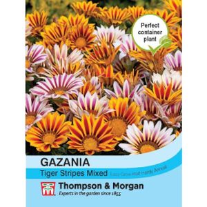 Thompson & Morgan Gazania Tiger Stripes Mixed