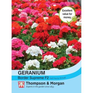 Thompson & Morgan Geranium Border Supreme F2 Hybrid Seeds