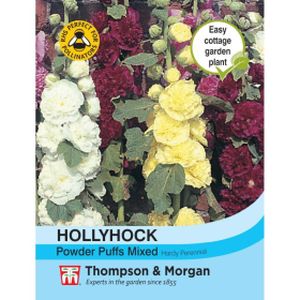 Thompson & Morgan Hollyhock Powder Puffs Mixed