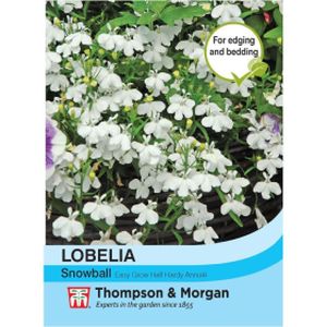 Thompson & Morgan Lobelia Snowball Seeds