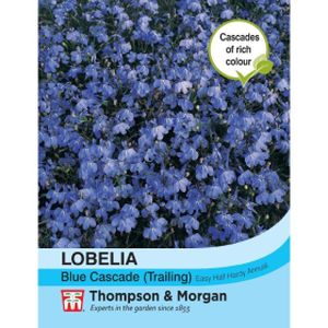 Thompson & Morgan Lobelia (Trailing) Blue Cascade