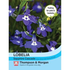 Thompson & Morgan Lobelia (Trailing) Sapphire Cascade Seeds
