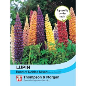Thompson & Morgan Lupin Band of Nobles Mixed